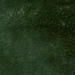 Satellite imagery of Brankov, PL