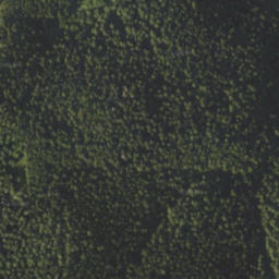 Satellite imagery of Č, SK