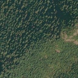 Satellite imagery of Mount Aveline, CA