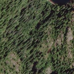 Satellite imagery of Logan Peak, CA