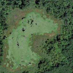 Satellite imagery of Monument 9, CA