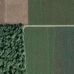 Satellite imagery of Monument 24, CA