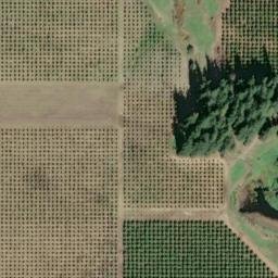 Satellite imagery of Monument 26, CA