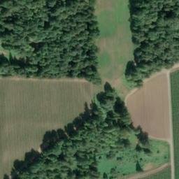 Satellite imagery of Monument 29, CA