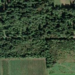 Satellite imagery of Monument 30, CA