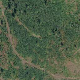 Satellite imagery of Monument 41, CA