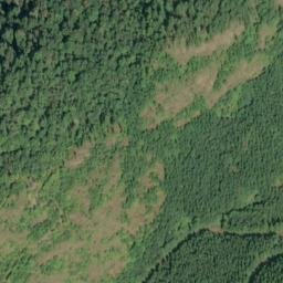 Satellite imagery of Monument 44, CA
