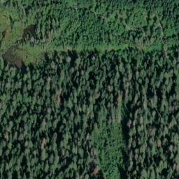 Satellite imagery of Monument 65, CA