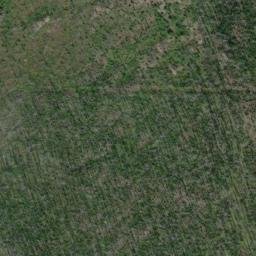 Satellite imagery of Monument 87, CA