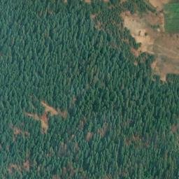 Satellite imagery of Monument 156, CA