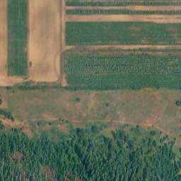 Satellite imagery of Monument 156, CA