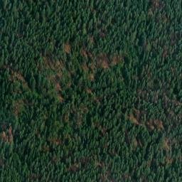 Satellite imagery of Monument 159, CA