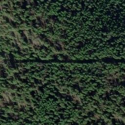 Satellite imagery of Monument 161, CA