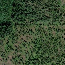 Satellite imagery of Monument 176, CA