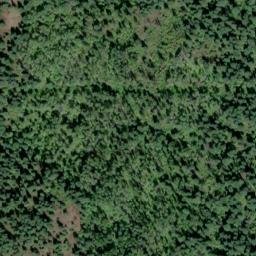 Satellite imagery of Monument 177, CA