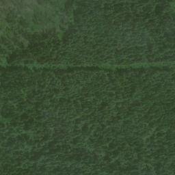 Satellite imagery of Monument 184, CA