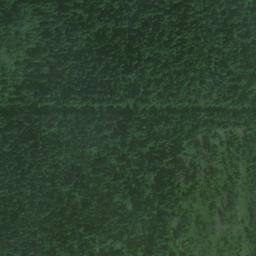 Satellite imagery of Monument 186, CA