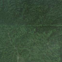 Satellite imagery of Monument 186, CA