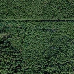 Satellite imagery of Monument 221, CA
