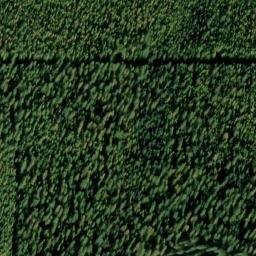 Satellite imagery of Monument 228, CA
