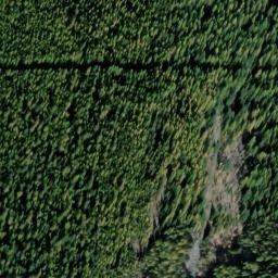 Satellite imagery of Monument 228, CA