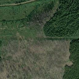 Satellite imagery of Monument 239, CA