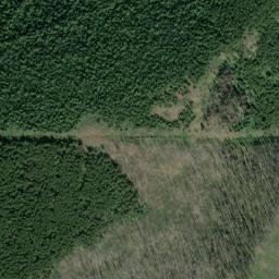 Satellite imagery of Monument 239, CA