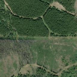 Satellite imagery of Monument 239, CA