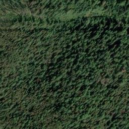 Satellite imagery of Monument 260, CA