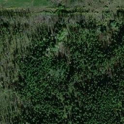 Satellite imagery of Monument 264, CA