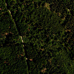 Satellite imagery of TP, CZ