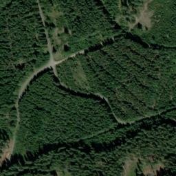 Satellite imagery of Palečkovský vrch [Buk-Včelná], CZ