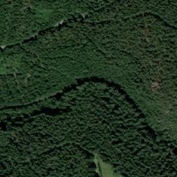 Satellite imagery of Palečkovský vrch [Buk-Včelná], CZ