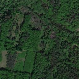 Satellite imagery of (Černý les) [Střelice u Jevišovic], CZ