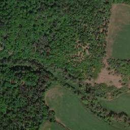 Satellite imagery of (Černý les) [Střelice u Jevišovic], CZ