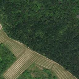 Satellite imagery of Líchy [Šitbořice], CZ