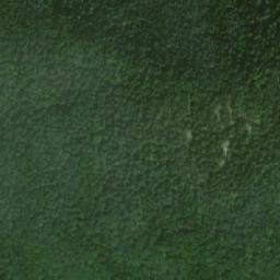 Satellite imagery of Brankov, PL