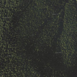 Satellite imagery of Č, SK