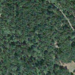 Satellite imagery of Burchell Hill, CA