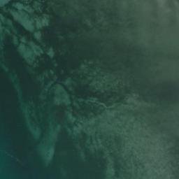 Satellite imagery of Tongue Point, US