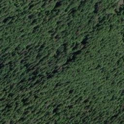 Satellite imagery of Monument 66, CA
