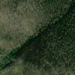 Satellite imagery of Monument 81, CA