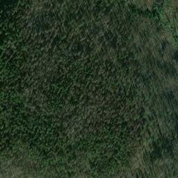 Satellite imagery of Monument 81, CA