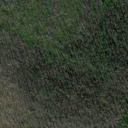 Satellite imagery of Monument 88, CA