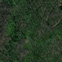 Satellite imagery of Monument 88, CA