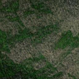 Satellite imagery of Monument 89, CA