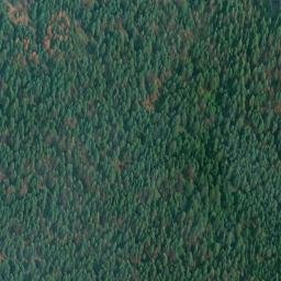 Satellite imagery of Monument 156, CA