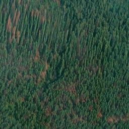 Satellite imagery of Monument 156, CA