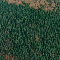 Satellite imagery of Monument 157, CA