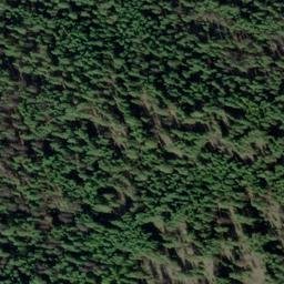 Satellite imagery of Monument 161, CA